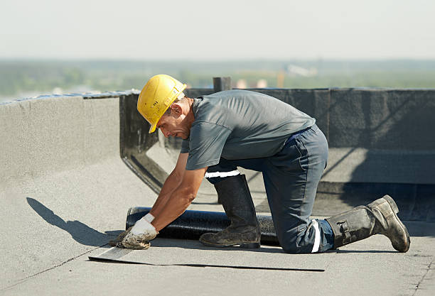 Best Eco-Friendly Insulation in Tinley Park, IL