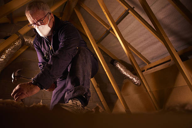 Types of Insulation We Offer in Tinley Park, IL