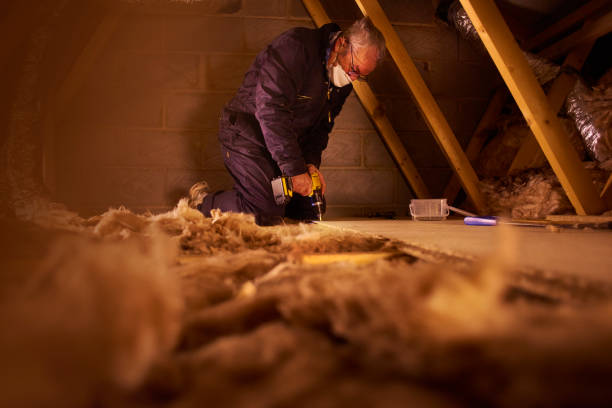Best Specialized Insulation Services in Tinley Park, IL